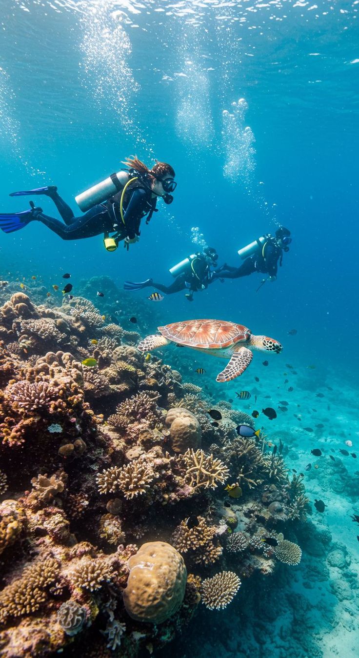 Underwater Experience
